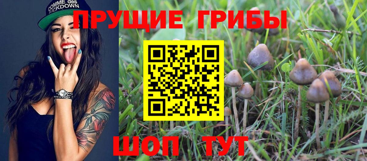 Псилоцибиновые грибы Psilocybe  купить наркоту  Луховицы  Вход с VPN 